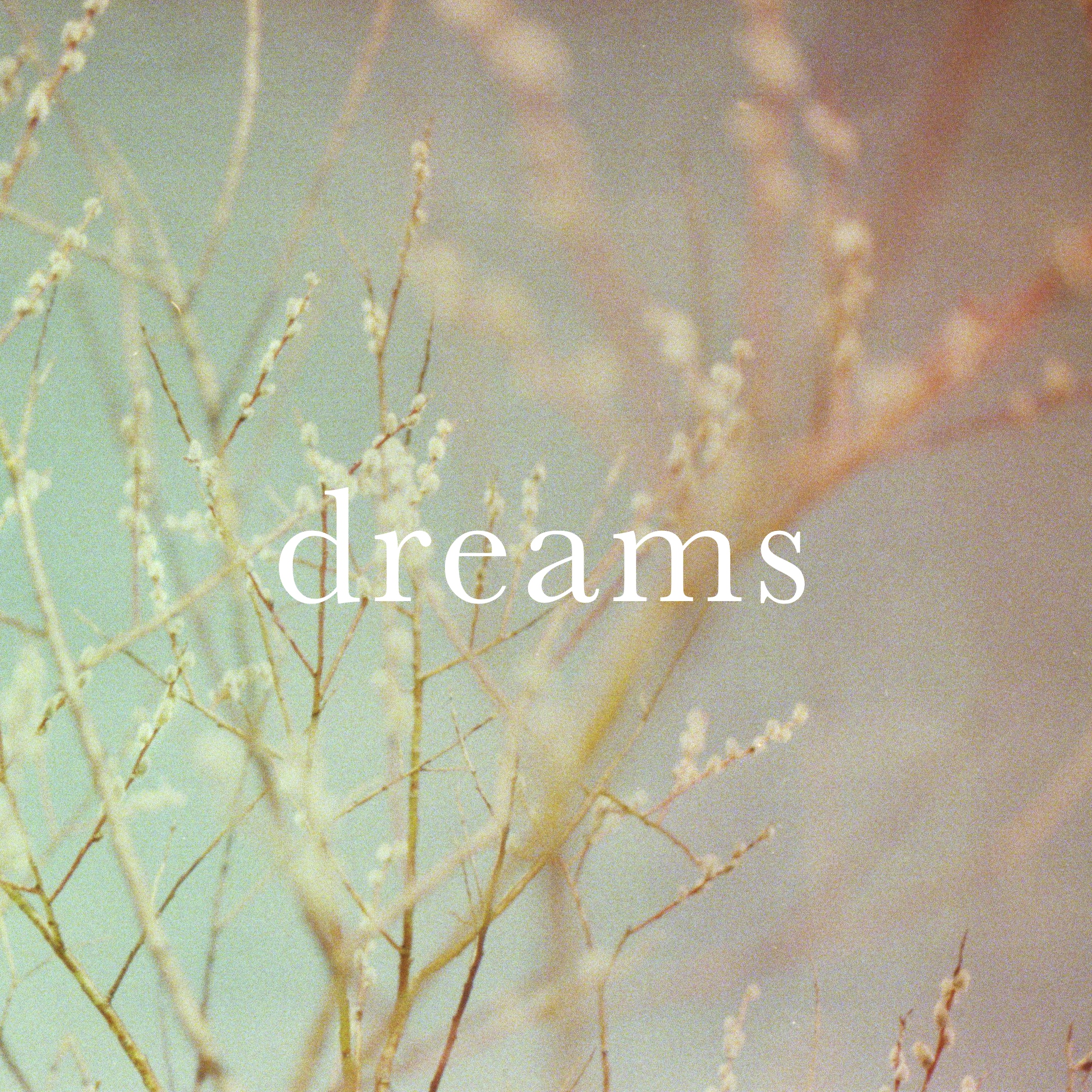 the Picturesque Episodes – Dreams V