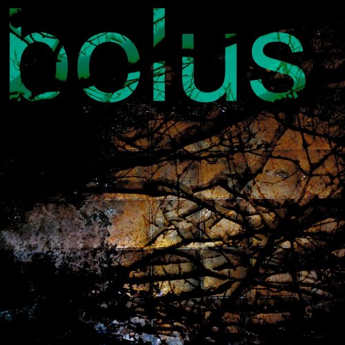 bolus